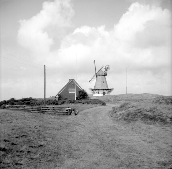 S&oslash;nderho, Fan&oslash;: S&oslash;nderho M&oslash;lle og m&oslash;lleg&aring;rden,