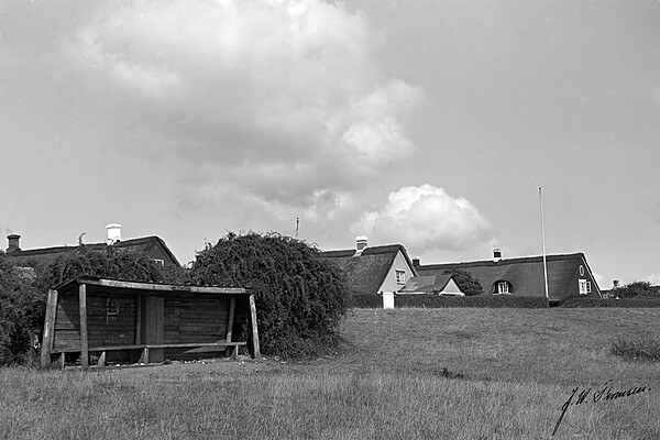 S&oslash;nderho: B&oslash;rsen, S&oslash;nderho